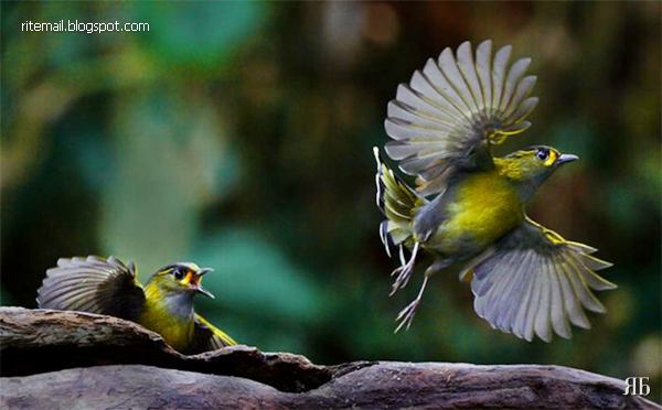 www.RiteMail.Blogspot.com