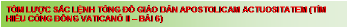 Text Box: T�M LƯỢC SẮC LỆNH T�NG ĐỒ GI�O D�N APOSTOLICAM ACTUOSITATEM (T�M HIỂU C�NG ĐỒNG VATICAN� II � B�I 6)