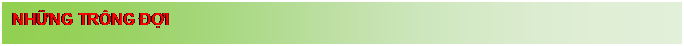 Text Box: NHỮNG TR�NG ĐỢI