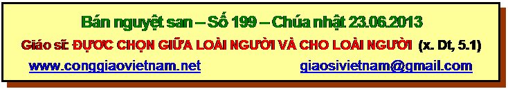 Text Box: Bán nguyệt san – Số 199 – Chúa nhật 23.06.2013
Giáo sĩ: ĐỰƠC CHỌN GIỮA LOÀI NGƯỜI VÀ CHO LOÀI NGƯỜI (x. Dt, 5.1)
www.conggiaovietnam.net giaosivietnam@gmail.com