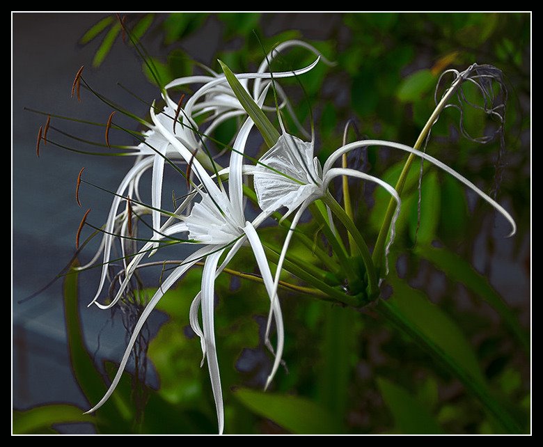 http://sphotos.xx.fbcdn.net/hphotos-ash4/390814_213704285366075_195024383900732_510958_207429698_n.jpg